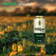 Bière filtrée et pasteurisée "Dilijan" Classic en canette 0,45CL 